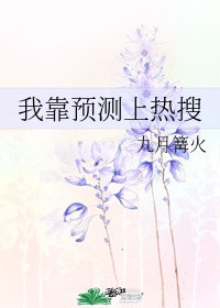 美女律师韩国电影