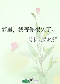 ipz教师系列作品封面