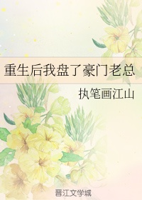 将军在上电影