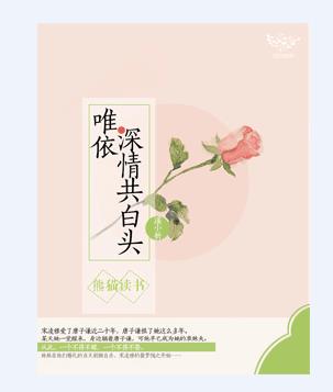 少年阿兵宾小说无删节