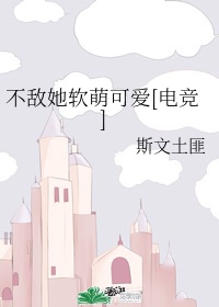 女友小叶完整版txt