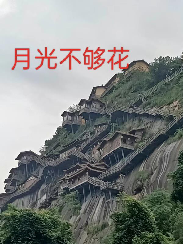 《我们仨》在线阅读