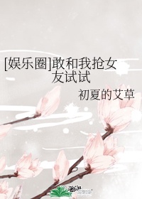 春浓花娇芙蓉帐 小说