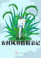 三宝局长改编加强版