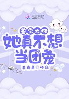 葵花宝盒免费版