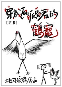 韩国漫画网站 免费