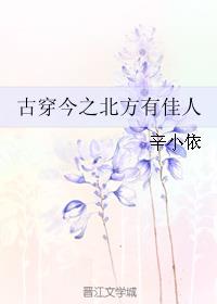 菠萝菠萝蜜视频高清免费版