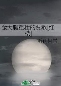 太阳部落组合