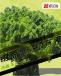 变形金刚7电影免费观看完整版