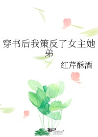 陪读妈妈小说1—3