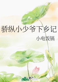 花都少帅1到700无删节