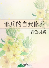 苍老师全集