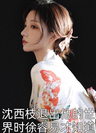 一树梨花压海棠