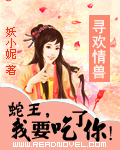 军师联盟之虎啸龙吟免费观看