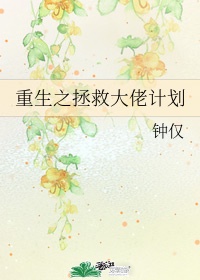 苏菲赵东来小说苏菲正版