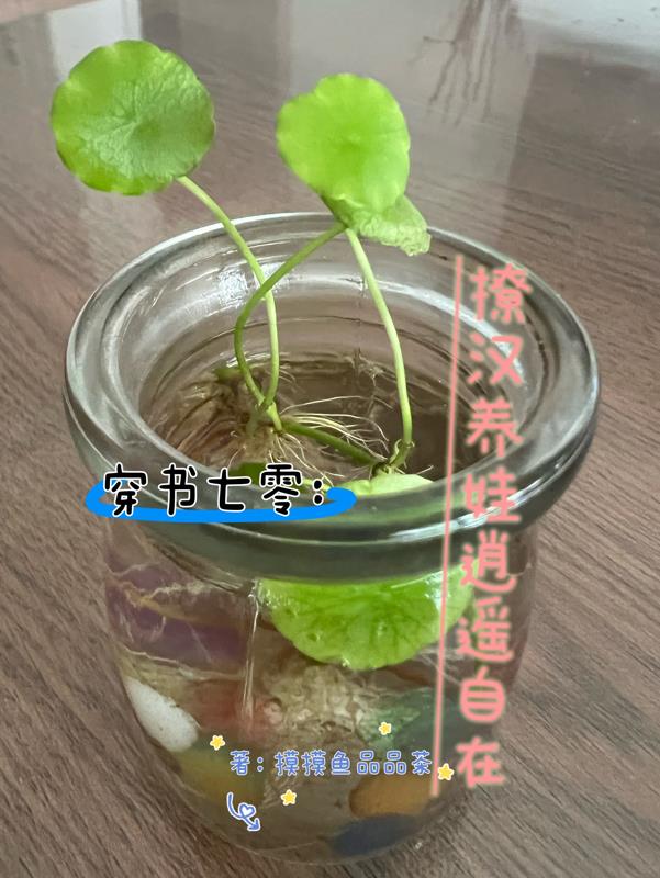 网络版微信登录