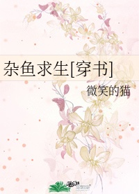 菠萝菠萝蜜在线观看4