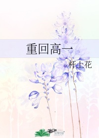 小红梅直播app