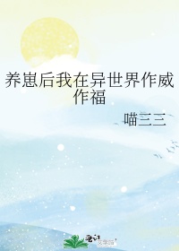 暗黑破坏神之暗影游侠