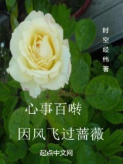 百闻影视