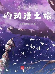 神枪之出生入死电视剧全集免费观看