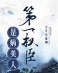 小狐狸7est