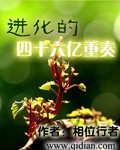 乘风破浪的姐姐第四季