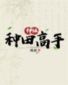 搞师傅tv师傅美国绿色