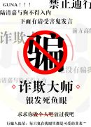 天子寻龙20集国语免费观看