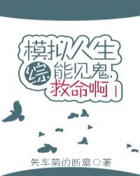 k8经典法国禁忌