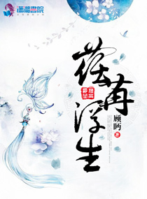 一级碟片dvd