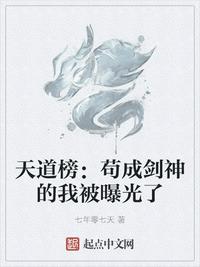 另类激情小说